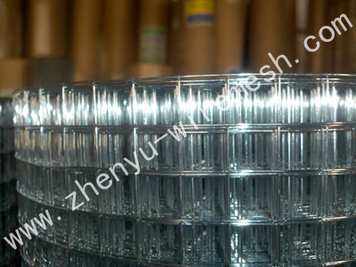 Electro Galvanized Welded Wire Mesh